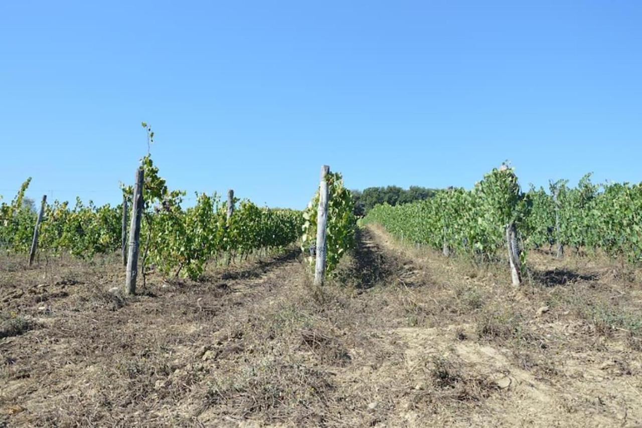 Agriturismo Fattoria Di Statiano Pomarance Exteriér fotografie